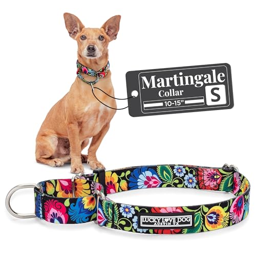 Lucky Love Dog Martingale Dog Collar - Adjustable, No-Slip, Durable, & Soft Webbing Collar for Male and Female Dogs Ideal for Training & Walking - Blackbird, Small - color: Blackbird, size: Small Collars (10-15")