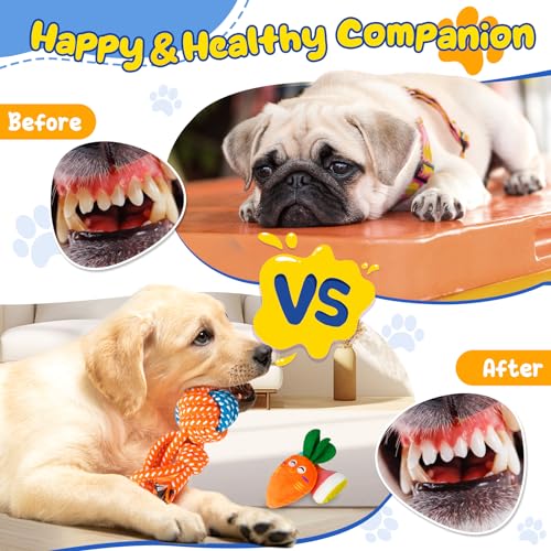 Puppy Toys 23 Pack, Interactive Dog Toys for Puppy Teething, Puppy Chew Toys with Squeaky Plush Toys, Rope Toys and Dog Treat Balls, Puppy Teething Toys for Small Dogs, Blue