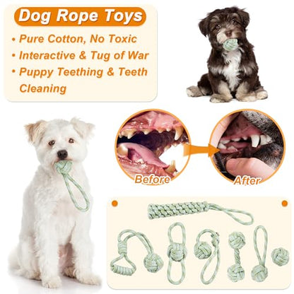 LECHONG 24 Pack Puppy Chew Toys, Dog Teething Toys with Storage Bin, Dog Rope Toys and Squeaky Toys for Boredom, Interactive Dog Toys for Small & Medium Breeds - size: 24pack
