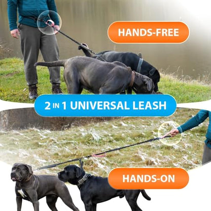 SparklyPets - Hands Free Dual Dog Leash for Medium and Large Female Dogs - Padded Handles, Reflective Stitches, No Pull, Tangle Free - Walking, Hiking, Jogging, Canicross Waist Leash - Gradient Pink - color: Gradient Pink, size: 2 dogs M/L
