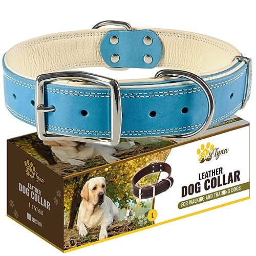 ADITYNA Heavy-Duty Leather Dog Collar for Large Dogs - Soft Padded for Comfort - Blue Dog Collar for Walking, Training, and Hiking - color: Blue, size: Large: Fit 17-23" Neck