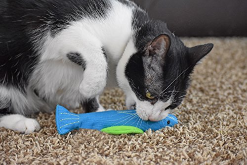 Our Pets 100-Percent North American Catnip Filled Fish Cat Toy (Interactive Cat Chew Toy), Annette (1050011546)