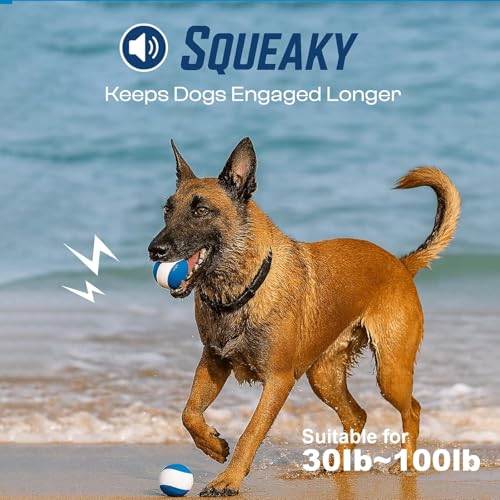 Squeaky Dog Toy – Durable Rubber Dog Ball for Medium & Large Dogs, Tough Interactive Fetch Toy for Chewers, Outdoor Training & Play Ball, Floating Water Play Gift.Ocean - color: Ocean