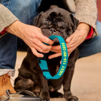 Personalized Embroidered Dog Collar - Custom Hand-Stitched Name & Number, Reflective Adjustable Pet Collar for Small/Medium/Large Dogs & Cats, Durable Nylon with Steel D-Ring (Sky Blue, Large) - color: Sky Blue, size: Large