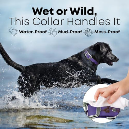 Regal Dog Products Small Purple with Custom Engraved Waterproof Dog Collar and Leash Set | Waterproof Dog Collar with Double Buckle & D Ring - 5'ft Leash | Matching Dog Collar and Leash for Dogs - color: Purple, size: Small Collar with leash