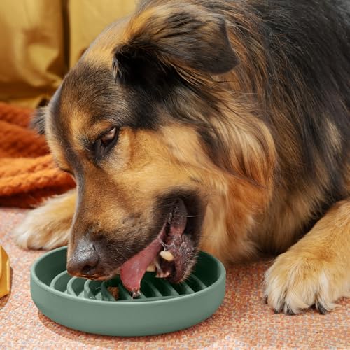 Should We Go? Slow Feeder for Dogs & Puppies, The Slowdown Bowl Silicone Slow Eating, Modern Lick Mat Design, Reduces Gulping, Fits 2 Cups, 7.5” Across x 1.5” Tall, Mealtime Challenge, Medium-Spruce - color: Spruce - Rainbow Design, size: Medium (7.5” Acr