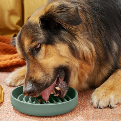 Should We Go? Slow Feeder for Dogs & Puppies, The Slowdown Bowl Silicone Slow Eating, Modern Lick Mat Design, Reduces Gulping, Fits 2 Cups, 7.5” Across x 1.5” Tall, Mealtime Challenge, Medium-Spruce - color: Spruce - Rainbow Design, size: Medium (7.5” Acr