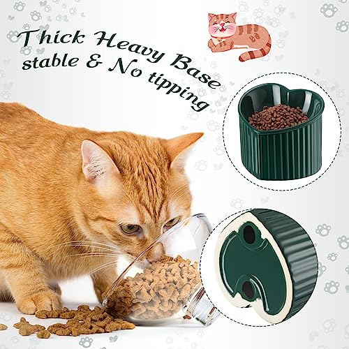 Mumufy 2 Pcs Ceramic Elevated Cat Bowls Tilted Elevated Raised Pet Bowls Anti Vomit Cat Dish for Indoor Stress Free Water Dish Feeder for Puppies, Heart Shaped(Peacock Green) - color: Peacock Green