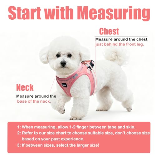 Dog Harness and Leash Set, No Pull Soft Mesh Pet Harness -in Puppy Pet Vest Harnesses for XS,Small,Medium Dogs and Cats Pink-XS - color: Pink, size: XS (Chest: 12.5-14")