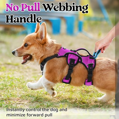rabbitgoo Escape Proof Dog Harness, Soft Padded Full Body Pet Harness, Reflective Adjustable No Pull Vest with Lift Handle and Lesh Clip for Large Dogs Walking Hiking Training, S, Purple - color: Purple, size: Small (Pack of 1)