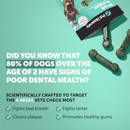 Pet Honesty Brush Buddies All Natural Dog Dental Treats for Dogs – Long Lasting Dental Sticks for Dogs, Teeth Cleaner, Breath Freshener, Plaque & Tartar Remover – Large Sized Dogs (8 Count) - size: Large Dog - 8 Count