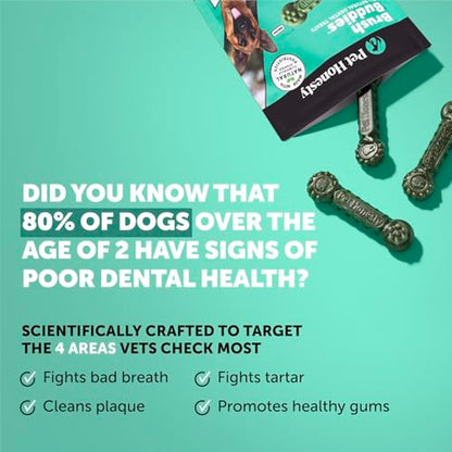 Pet Honesty Brush Buddies All Natural Dog Dental Treats for Dogs – Long Lasting Dental Sticks for Dogs, Teeth Cleaner, Breath Freshener, Plaque & Tartar Remover – Large Sized Dogs (8 Count) - size: Large Dog - 8 Count