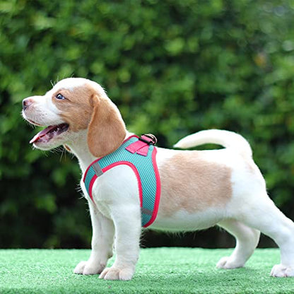 PHOEPET Step-in Dog Harness,Reflective Adjustable Dog Vest Harness, Soft Pet Walking Jacket with 2 Metal Leash Hooks for Dog and Cat(Mint Green Base & Pink Straps,L) - color: Mint Green Base & Pink Straps, size: L (Neck: 12-13.5”,Chest: 16-18”)