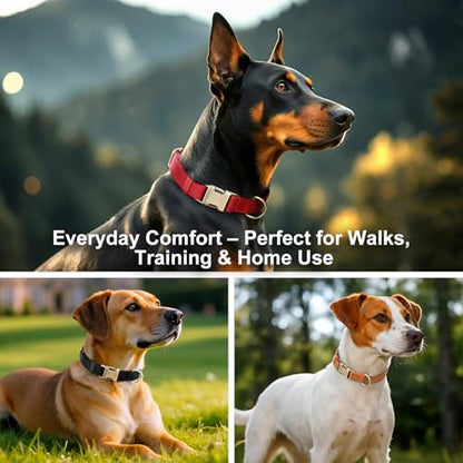 Plutus Pet Genuine Leather Dog Collar – Adjustable Pet Collar with Quick Release Metal Buckle, Soft Real Leather for Small Medium Large Dogs, Heavy Duty & Skin-Friendly (Red, XS) - color: Red, size: XS
