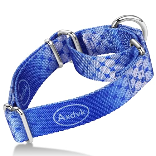 Martingale Dog Collar Colorful Gradient Fashionable - Anti-Escape Soft Durable Pets Collar for Walking Training Outdoor Daily Use -Small,Blue Ocean - color: Blue Ocean, size: Small+: 11" -15.5"