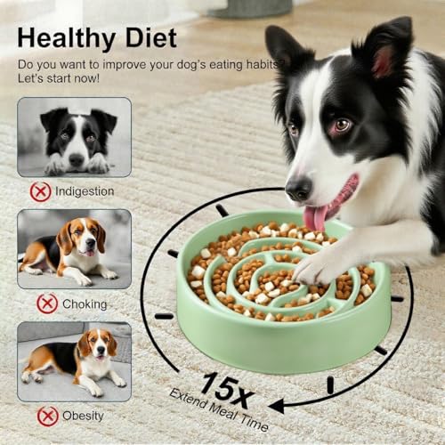 Ceramic Slow Feeder Dog Bowls with Anti-Slip, Slow Feeder & Non-Slip Design, Boredom and Anxiety Reducer, Suitable for All Breed Dogs and Cat (Ceramic-Green) - color: Ceramic-Green