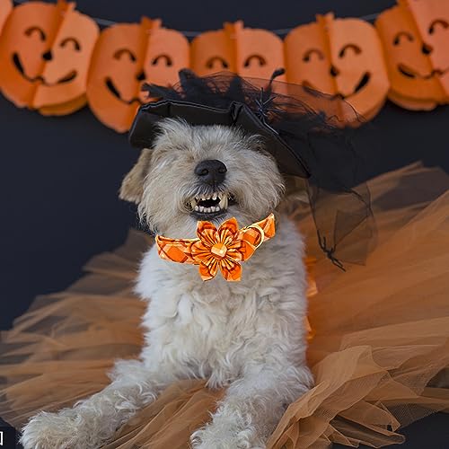 Dog Collar, Fall Dog Collar with Flower Plaid Pet Collar Flower Puppy Collars Cute Pet Adjustable Collar for X-Small Puppy - color: Pumpkin Plaid, size: X-Small (Pack of 1)
