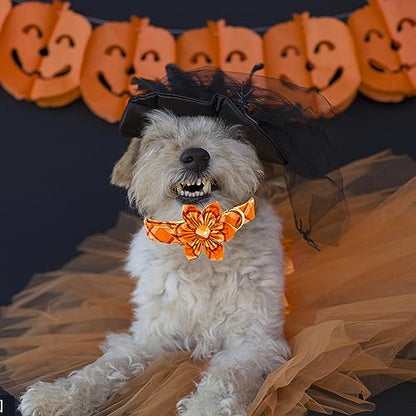 Dog Collar, Fall Dog Collar with Flower Plaid Pet Collar Flower Puppy Collars Cute Pet Adjustable Collar for X-Small Puppy - color: Pumpkin Plaid, size: X-Small (Pack of 1)