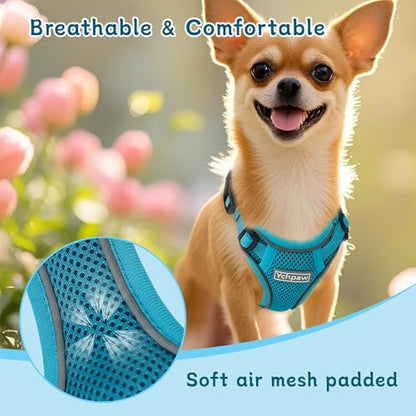 Small Dog Harness and Leash Set, Reflective Soft Breathable Mesh Vest, 3 Buckles, Adjustable Neck and Chest,Step in Dog Harness for Walking, Running, Training, Turquoise, M - color: Turquoise, size: Medium