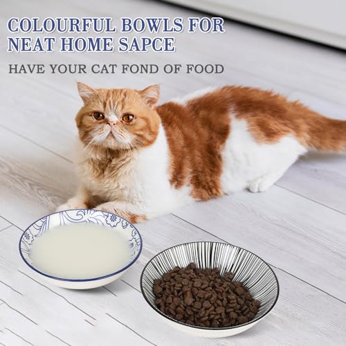 HAPPY KIT 2pcs Ceramic Cat Food Bowls for Indoor Cats Set,5.7 inch Colorful Cute Feeding Plate with Non Slip Mat,8.5oz Cat Dish/Dishes,Wide Shallow Bowl Whisker Friendl - color: Stamen&Line
