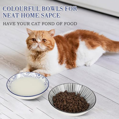 HAPPY KIT 2pcs Ceramic Cat Food Bowls for Indoor Cats Set,5.7 inch Colorful Cute Feeding Plate with Non Slip Mat,8.5oz Cat Dish/Dishes,Wide Shallow Bowl Whisker Friendl - color: Stamen&Line