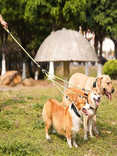 3 in 1 Durable Nylon Dog Leash with Padded Handle, 360° Swivel Multiple Dog Leash No Tangle, Lead for Medium Large Dogs, Walking & Training Double Dogs Leash Red - color: Red