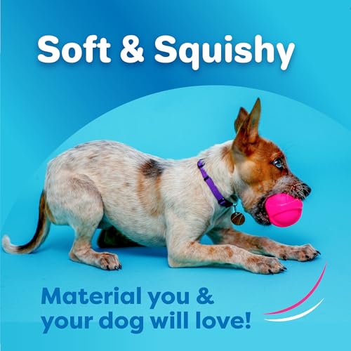 Hartz DuraPlay Bacon Scented Dog Toys, Large 1 Count, Colors May Vary (Pack of 2) - size: 2 Count, style: Large Ball