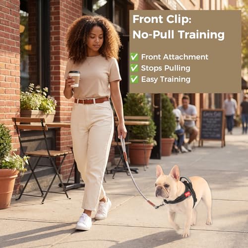 No Pull Dog Harness with Handle, Boston Terrier Adjustable Reflective Dog Vest, Breathable Air Mesh Padded Pet Harness with Front Leash Clip for Small Medium Dogs, Black, M - color: Black, size: Medium