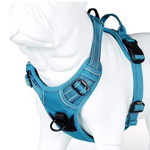 JUXZH Truelove No Pull Dog Harness with Easy Control Handle and 2 Leash Attachments,Reflective Adjustable Pet Vest - color: Teal Blue, size: X-small (Pack of 1)
