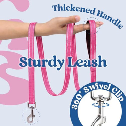 rabbitgoo Dog Harness Small Sized and Leash Set, Step-in Breathable Pet Harness, Soft Walking Reflective Puppy Vest for Small Dogs, Blue & Rose Red, XXS - color: Blue & Rose Red, size: XXS (Chest: 12.4 - 14.2")