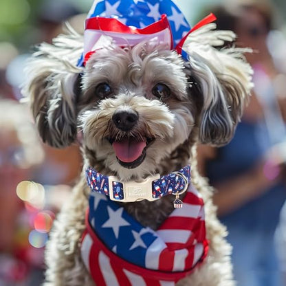 4th of July Dog Collar Patriotic Popsicle Dog Collars for Puppy Small Dogs - Lightweight Adjustable Navy Independence Day Puppy Collars Cute Summer Pet Safety Collar XS - color: Patriotic Popsicle, size: XS