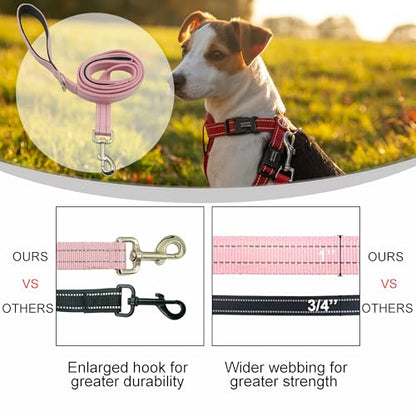 Dual Padded Handle Standard Dog Leashes with Reflective Stitching,360° Rotatable Heavy Duty Metal Buckle,D-Ring,Durable Nylon,for Medium Sized Dogs from 20 to 60 Pounds Walking and Training Pink 5Ft - color: Pink, size: 5Ft