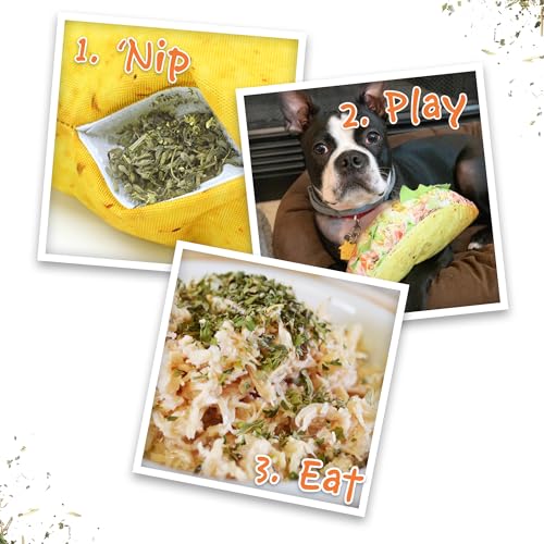 Doggijuana Refillable Juananip Toy Bundle | Taco Bundle | Funny Dog Toy Plush with Catnip and Refill | Calming Aid for Dogs | Interactive Chew Toy for Play - style: Taco