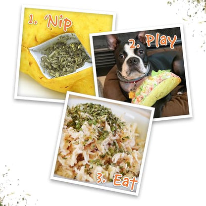 Doggijuana Refillable Juananip Toy Bundle | Taco Bundle | Funny Dog Toy Plush with Catnip and Refill | Calming Aid for Dogs | Interactive Chew Toy for Play - style: Taco