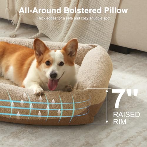 Washable Dog Bed Medium Size Dogs, Rectangle Comfy Fluffy Small Dog Bed, Removable Zipper Cover Machine Wash, Orthopedic Bed Durable Pet Cuddler with Anti-Slip Bottom, 25x21x7 in, Beige - color: Beige, size: M(25''x21''x7'')