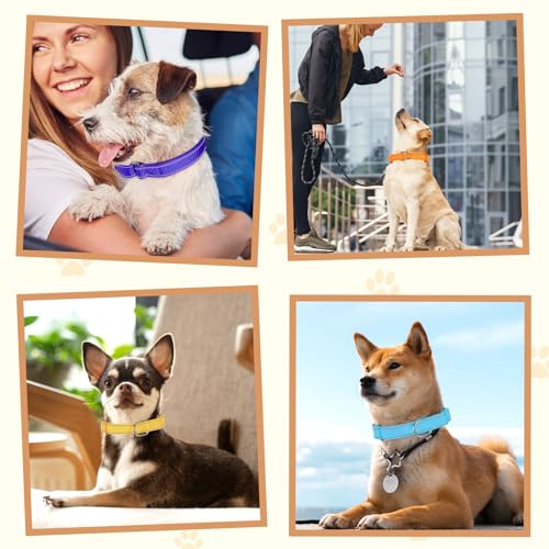 12 Pcs Martingale Collar for Medium Dogs Adjustable Pet Training Collar Reflective Dog Collar with Durable Metal Buckle Heavy Duty Nylon No Pull Martingale Collar for Small Medium Large Dogs, Medium