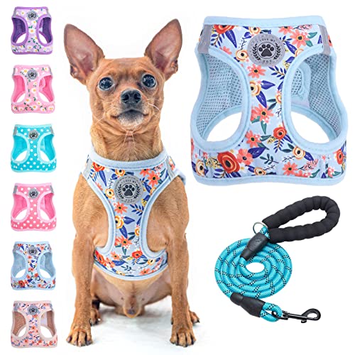 BEAUTYZOO Step in Dog Harness and Leash Set, Floral Pattern Reflective Dog Harness No Pull No Choke Puppy Harness for XXS XS S Dogs Cats, Soft Padded Mesh Vest Harnesses for Girl and Boy Pets - color: Blue Rose, size: XX-Small(Chest Girth 11.5"-13")