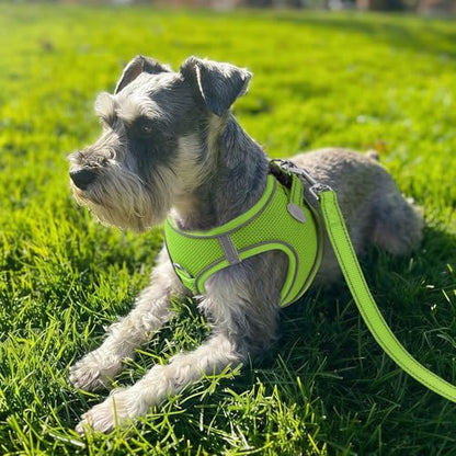 Joytale Small Dog Harness, Breathable Mesh Step-in Vest, Reflective Soft Padded Harnesses for Cats and Puppies Dogs, Green, XXXS - color: Green, size: XXXS--Chest: 10.5-12''