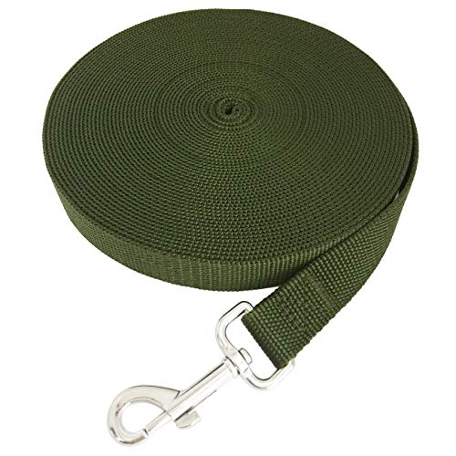 TAIDA 20ft 30ft 40ft 50ft Nylon Long Training Dog Leash for Small Medium Large Dogs, Long leashes Dog/Puppy Lead for Obedience Recall Training, Camping, or Backyard, 1 inch Wide (50 Foot, Green)