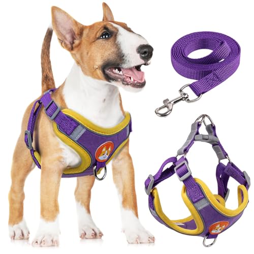 Adjustable No-Pull Dog Harness for Small and Medium Dogs, Comfortable Reflective Vest with Leash Set and Dual Clips, Secure and Lightweight Pet Walking Gear