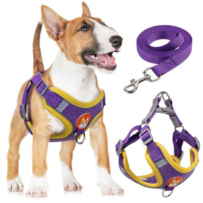 Adjustable No-Pull Dog Harness for Small and Medium Dogs, Comfortable Reflective Vest with Leash Set and Dual Clips, Secure and Lightweight Pet Walking Gear