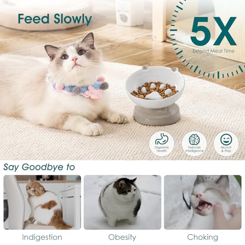 vancasso Ceramic Elevated Slow Feeder Cat Bowls,Slow Feeder Elevated Cat Bowl Wet Food, Raised Cats Bowl for Indoor Cats (Grey) - color: Grey