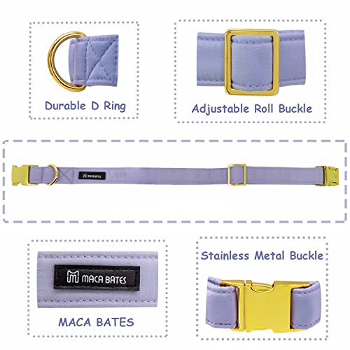 Maca Bates Dog Collar and Leash Set, Adjustable Solid Dog Collar and Leash for Small Medium Large Dog with Golden Metal Buckle - color: set-violet, size: XS