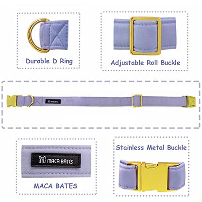 Maca Bates Dog Collar and Leash Set, Adjustable Solid Dog Collar and Leash for Small Medium Large Dog with Golden Metal Buckle - color: set-violet, size: XS