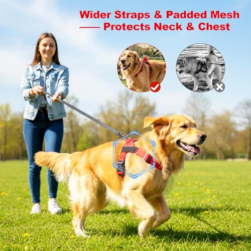 No Pull Dog Harness, Arcolma,Made to Roam Collar Design with Breathable Neoprene Padding, Y-Shaped Anti-Choking, Double D-Ring Traction, High-Reflective Strips for Daily Walking & Outdoor Adventure（M） - size: Medium