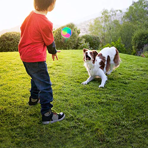 4 pcs Large Light Up Dog Balls Flashing Elastic Ball Glow in The Dark Interactive Pet Toys for for Golden Retriever,Labrador,Large Dogs - color: 4 pcs Large smooth balls
