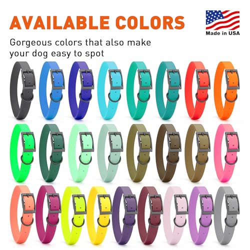 Dogline Biothane Waterproof Dog Collar Strong Coated Nylon Webbing with Black Hardware Odor- Proof for Easy Care Easy to Clean High Performance Fits Small Medium or Large Dogs, Treasure Gold