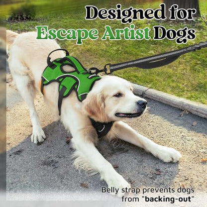 rabbitgoo Escape Proof Dog Harness, Soft Padded Full Body Pet Harness, Reflective Adjustable No Pull Vest with Lift Handle and Lesh Clip for Large Dogs Walking Hiking Training, M, Green - color: Green, size: Medium (Pack of 1)