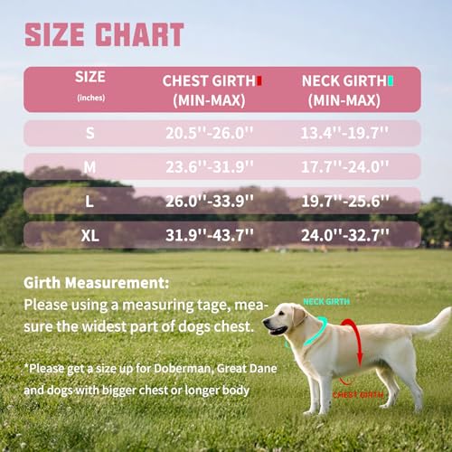 AUROTH Dog Harness and Leash Set, Soft Padded Service Dog Vest with 5.25FT Dog Leash, No Choke, Easy On Pet Vest, Adjustable Reflective No Pull Dog Harness Small Sized Dog, Easy Walking and Training - color: Pink, size: Small
