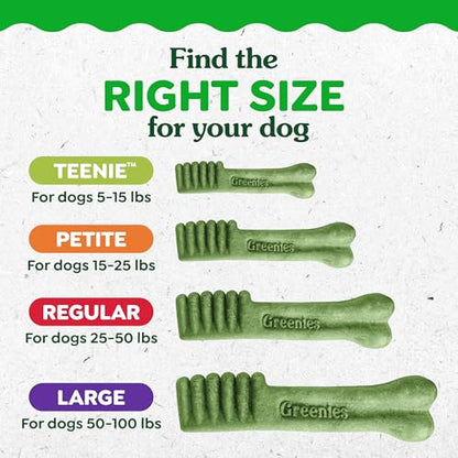 Greenies Veterinarian-Recommended Adult Natural Dental Dog Treats Large Size, Dog Dental Chews, Original Flavor, 54 oz. Pack, 34 Count - size: 34 Count (Pack of 1)